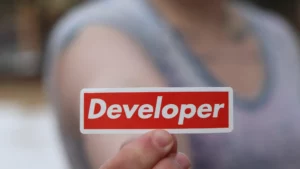 apa itu software development 1.1.developer